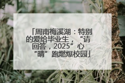 周南梅溪湖：特别的爱给毕业生，“请回答，2025”心“晴”跑燃爆校园