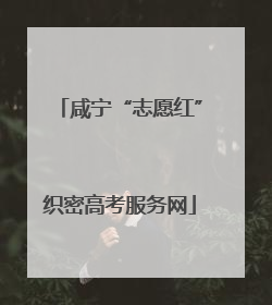 咸宁“志愿红”织密高考服务网