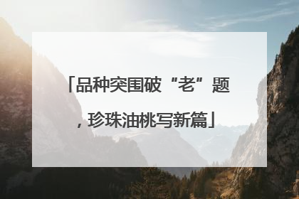 品种突围破“老”题，珍珠油桃写新篇