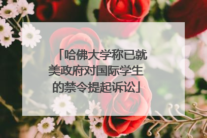 哈佛大学称已就美政府对国际学生的禁令提起诉讼