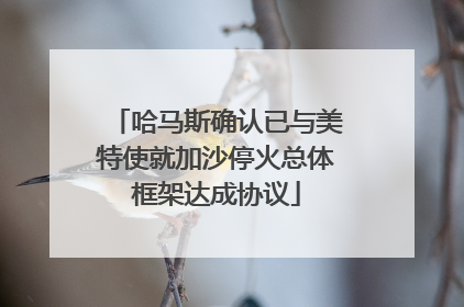 哈马斯确认已与美特使就加沙停火总体框架达成协议