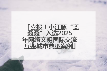 喜报！小江豚“蓝叒叒”入选2025年网络文明国际交流互鉴城市典型案例