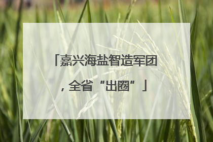 嘉兴海盐智造军团，全省“出圈”