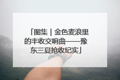 图集｜金色麦浪里的丰收交响曲——豫东三夏抢收纪实