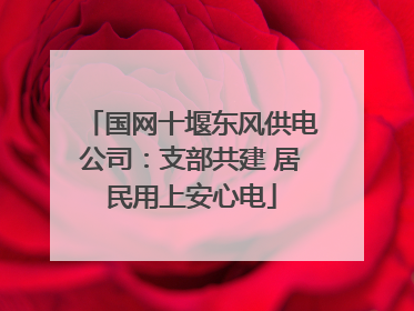 国网十堰东风供电公司：支部共建 居民用上安心电