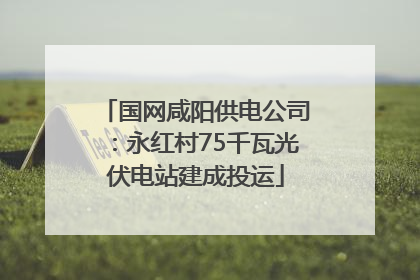 国网咸阳供电公司：永红村75千瓦光伏电站建成投运