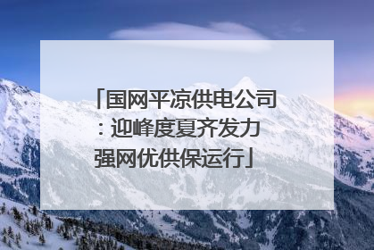 国网平凉供电公司：迎峰度夏齐发力 强网优供保运行