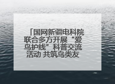 国网新疆电科院联合多方开展“爱鸟护线”科普交流活动 共筑鸟类友好城市