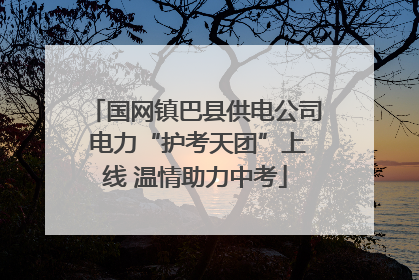 国网镇巴县供电公司 电力“护考天团”上线 温情助力中考