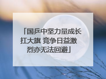 国乒中坚力量成长扛大旗 竞争日益激烈亦无法回避