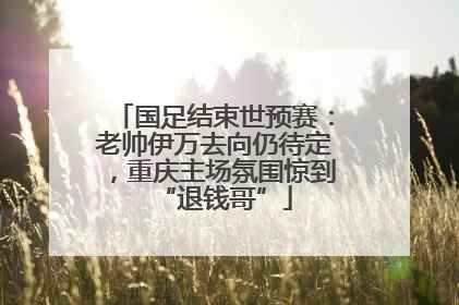 国足结束世预赛：老帅伊万去向仍待定，重庆主场氛围惊到“退钱哥”