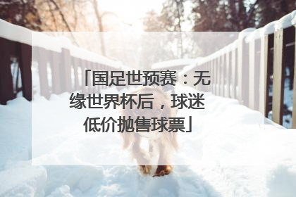 国足世预赛：无缘世界杯后，球迷低价抛售球票