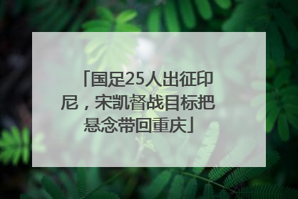 国足25人出征印尼，宋凯督战目标把悬念带回重庆