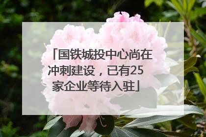 国铁城投中心尚在冲刺建设，已有25家企业等待入驻