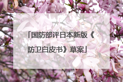 国防部评日本新版《防卫白皮书》草案