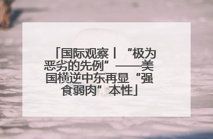 国际观察丨“极为恶劣的先例”——美国横逆中东再显“强食弱肉”本性