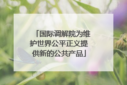 国际调解院为维护世界公平正义提供新的公共产品