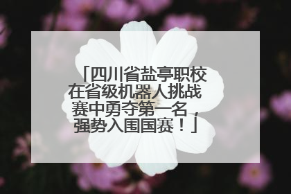 四川省盐亭职校在省级机器人挑战赛中勇夺第一名，强势入围国赛！