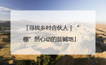 寻找乡村合伙人｜“棚”然心动的盐碱地