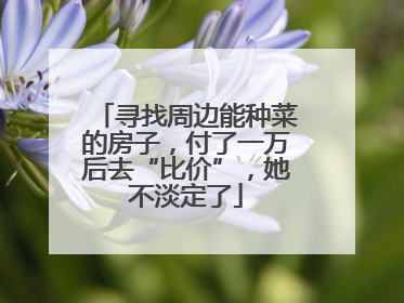 寻找周边能种菜的房子，付了一万后去“比价”，她不淡定了
