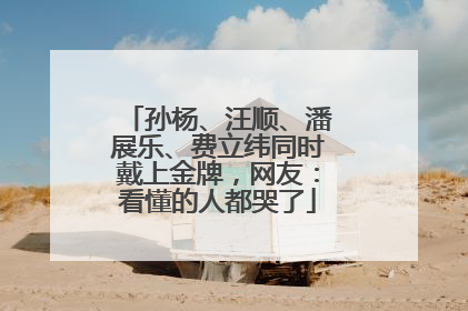 孙杨、汪顺、潘展乐、费立纬同时戴上金牌，网友：看懂的人都哭了