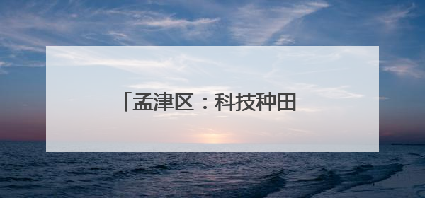 孟津区：科技种田 上演小麦“逆袭”记