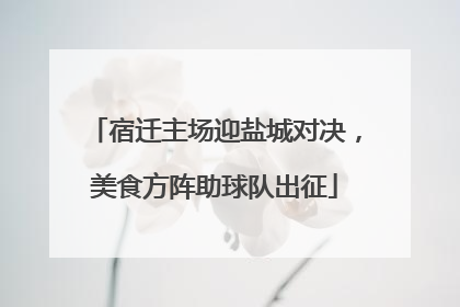 宿迁主场迎盐城对决，美食方阵助球队出征