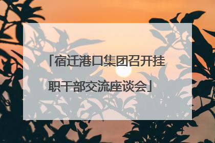 宿迁港口集团召开挂职干部交流座谈会