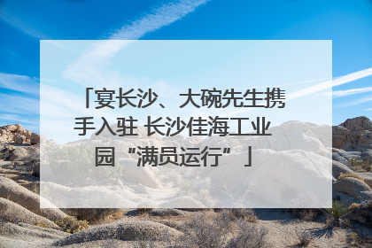 宴长沙、大碗先生携手入驻 长沙佳海工业园“满员运行”