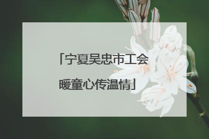 宁夏吴忠市工会暖童心传温情