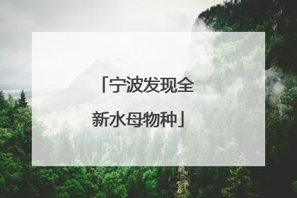 宁波发现全新水母物种