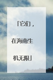 它们，在海南生机无限