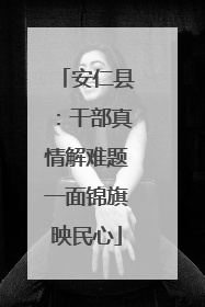 安仁县：干部真情解难题一面锦旗映民心