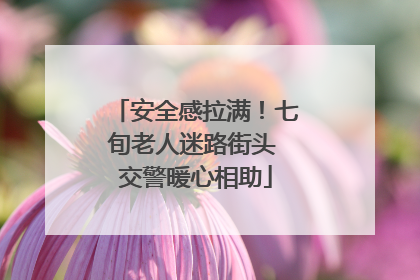 安全感拉满！七旬老人迷路街头 交警暖心相助