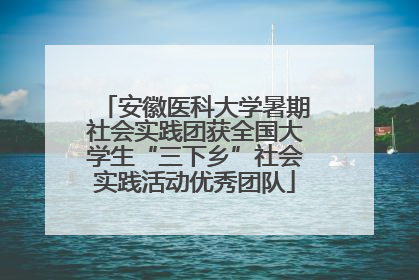 安徽医科大学暑期社会实践团获全国大学生“三下乡”社会实践活动优秀团队