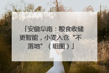 安徽阜南：粮食收储更智能，小麦入仓“不落地”（组图）