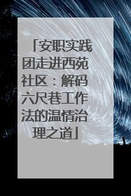 安职实践团走进西苑社区：解码六尺巷工作法的温情治理之道