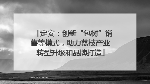 定安：创新“包树”销售等模式，助力荔枝产业转型升级和品牌打造
