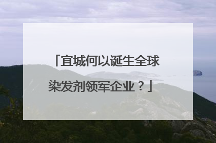 宜城何以诞生全球染发剂领军企业？