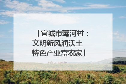 宜城市莺河村：文明新风润沃土 特色产业富农家