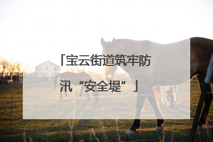 宝云街道筑牢防汛“安全堤”