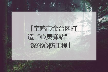 宝鸡市金台区打造“心灵驿站” 深化心防工程