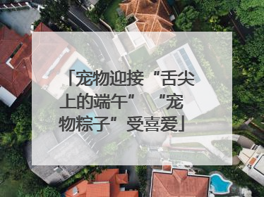 宠物迎接“舌尖上的端午” “宠物粽子”受喜爱