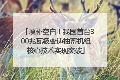 填补空白！我国首台300兆瓦级变速抽蓄机组核心技术实现突破
