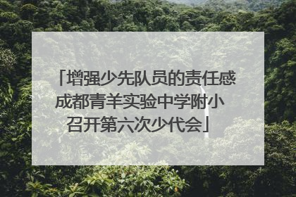 增强少先队员的责任感 成都青羊实验中学附小召开第六次少代会
