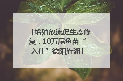 增殖放流促生态修复，10万尾鱼苗“入住”德阳旌湖