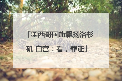 墨西哥国旗飘扬洛杉矶 白宫：看，罪证