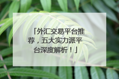 外汇交易平台推荐，五大实力派平台深度解析！