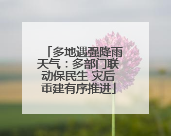 多地遇强降雨天气：多部门联动保民生 灾后重建有序推进