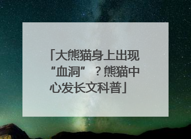大熊猫身上出现“血洞”？熊猫中心发长文科普